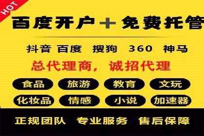 百度搜索推广实战经验：经典案例剖析